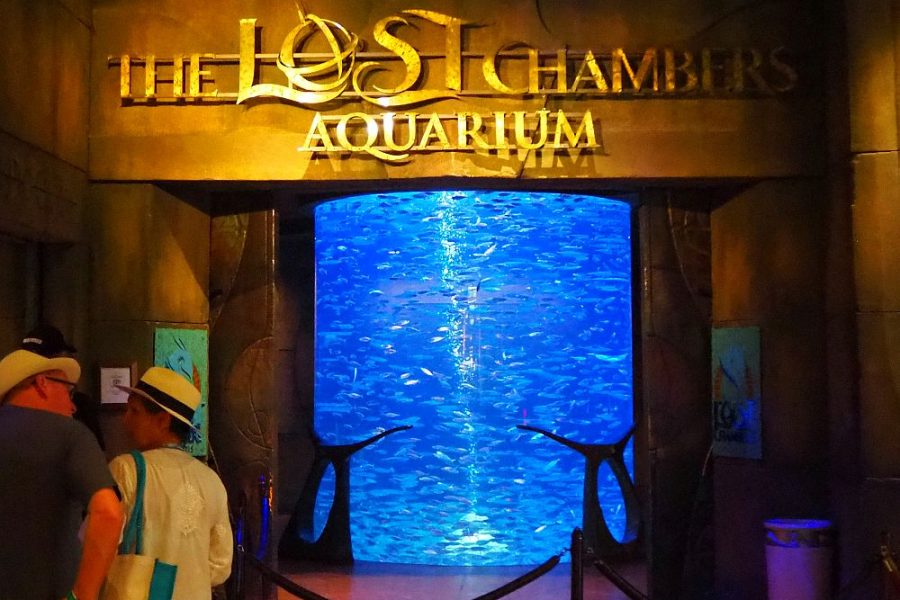 Atlantis Lost Chamber Aquarium Tour – Private Transfer
