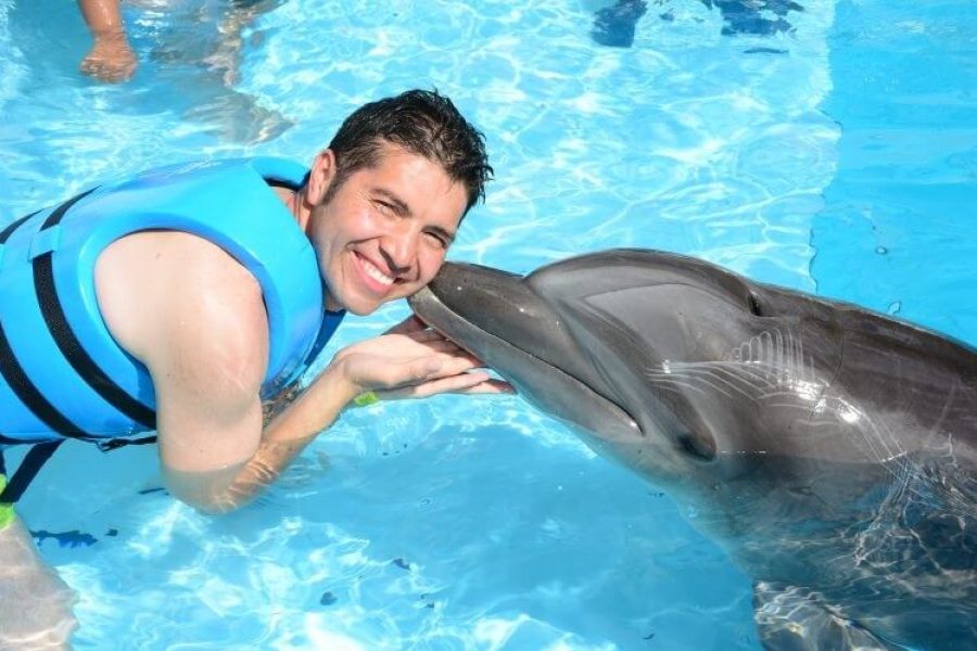 Dolphinarium Swimming With Dolphins Deep Water Tour – Without Transfer